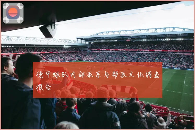 德甲球队内部派系与帮派文化调查报告