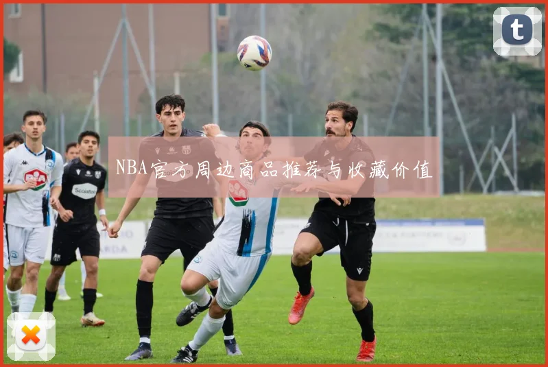 NBA官方周边商品推荐与收藏价值