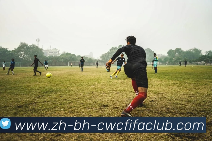 火箭队与太阳队比赛录像的完整回放