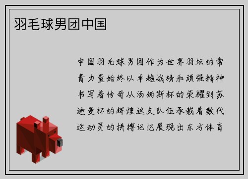 羽毛球男团中国